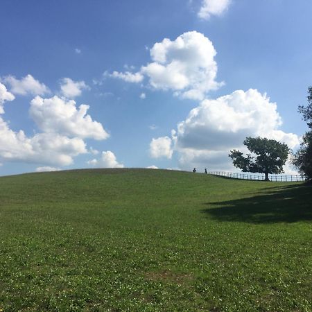 Tenuta Di Paternostro Vetralla Bagian luar foto