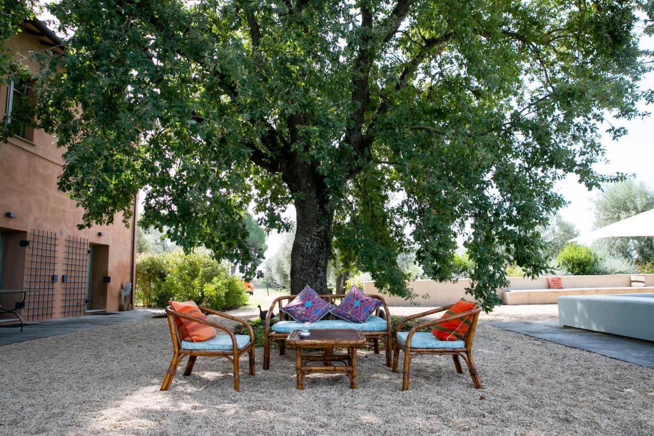 Tenuta Di Paternostro Vetralla Bagian luar foto