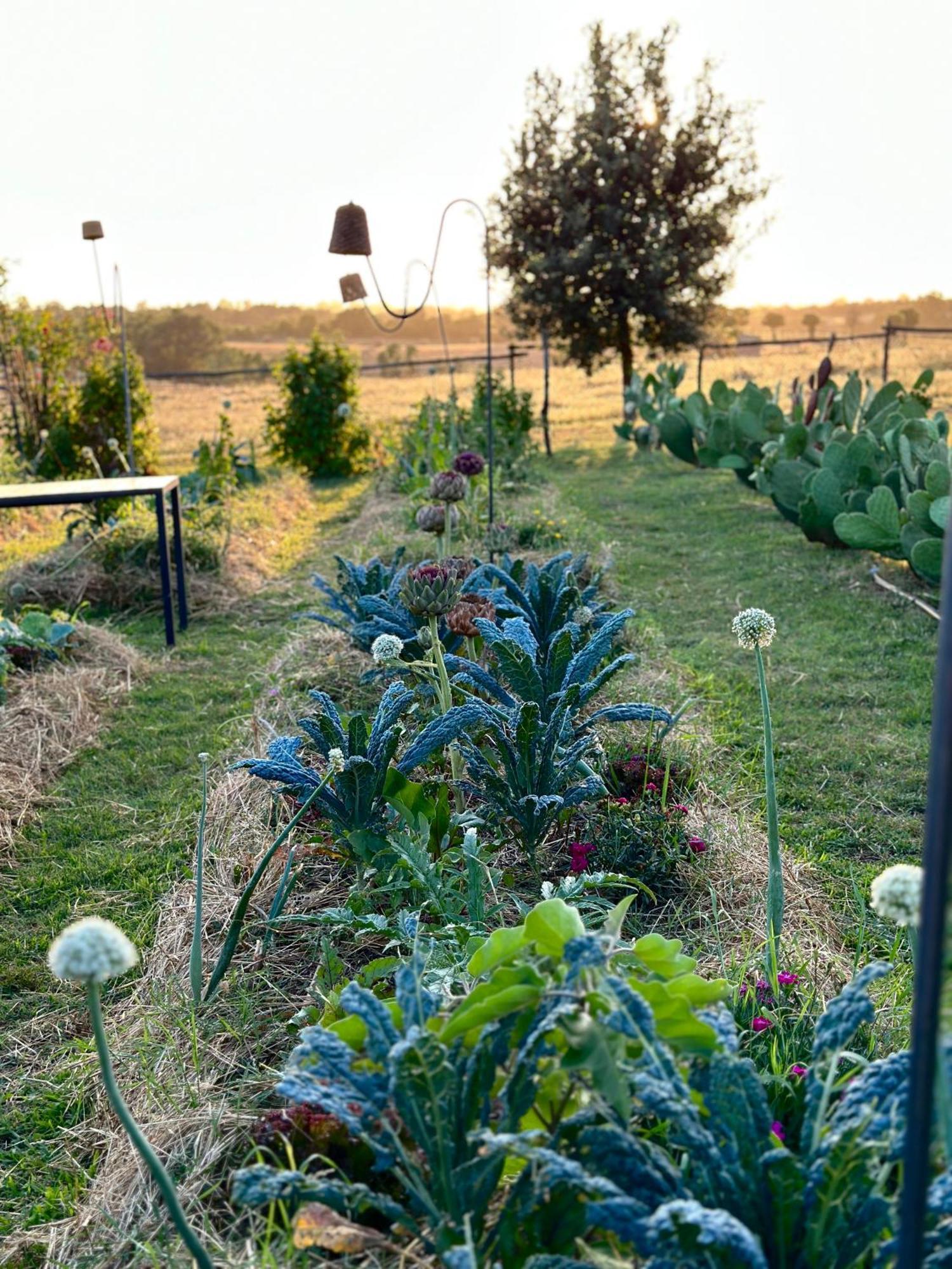 Tenuta Di Paternostro Vetralla Bagian luar foto