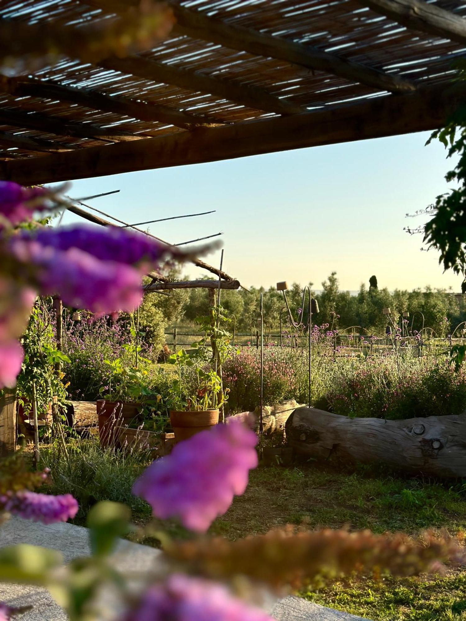 Tenuta Di Paternostro Vetralla Bagian luar foto