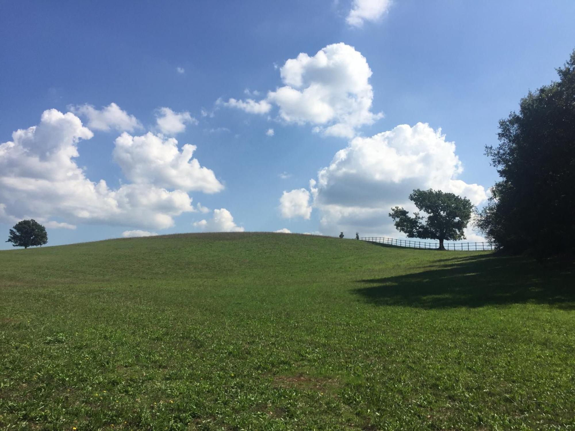 Tenuta Di Paternostro Vetralla Bagian luar foto