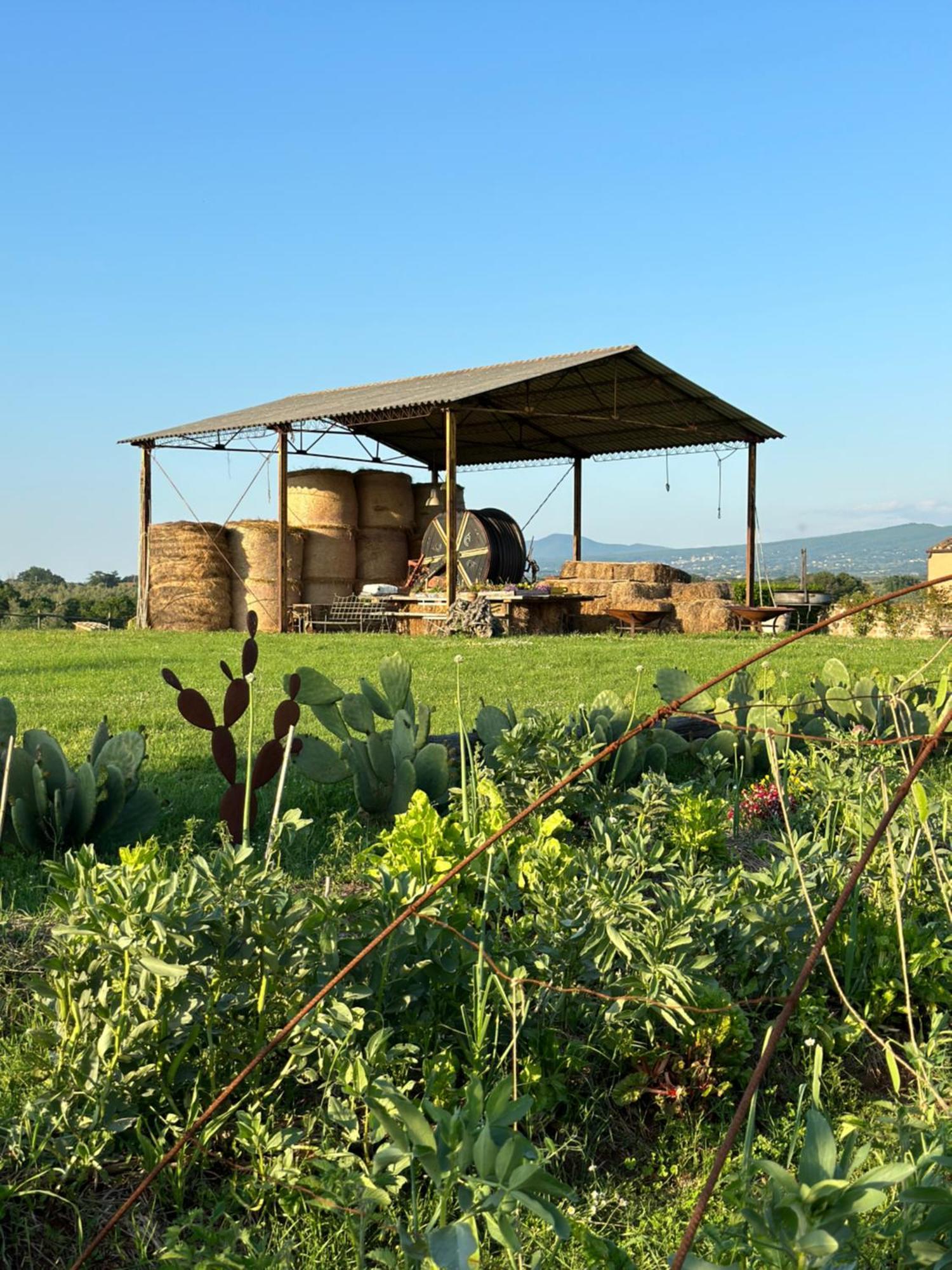 Tenuta Di Paternostro Vetralla Bagian luar foto
