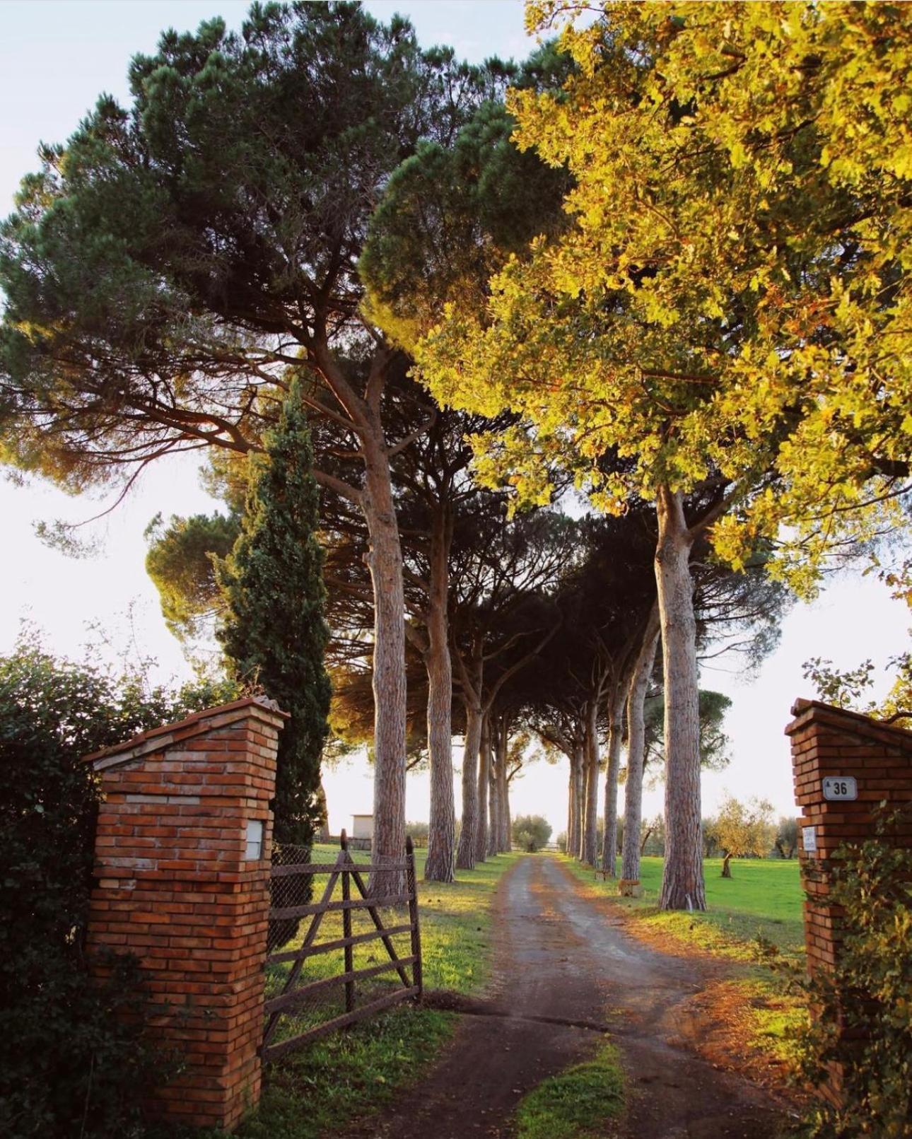 Tenuta Di Paternostro Vetralla Bagian luar foto