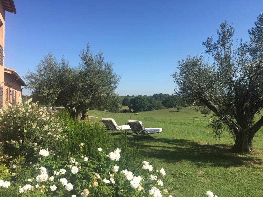 Tenuta Di Paternostro Vetralla Bagian luar foto