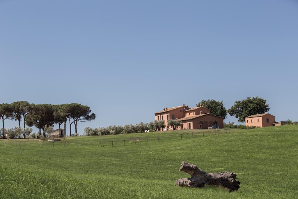 Tenuta Di Paternostro Vetralla Bagian luar foto